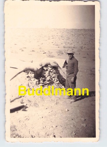 Foto afrika korps - foto,