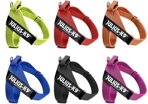 Julius idc gurtbandgeschirr - julius,